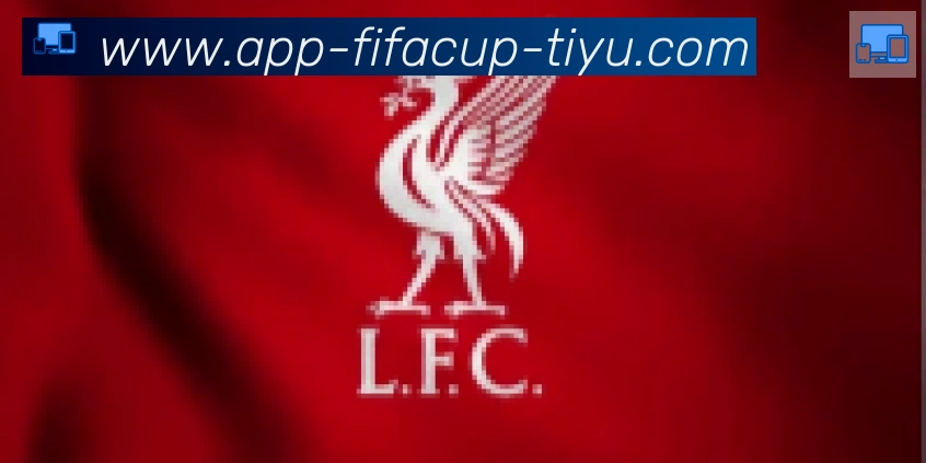 FIFA世界杯客户端下载合作伙伴